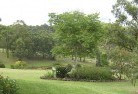 Irymple VICresidential-landscaping-40.jpg; ?>